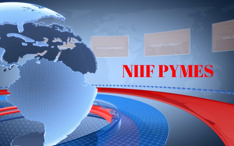 NIIF para PYMES